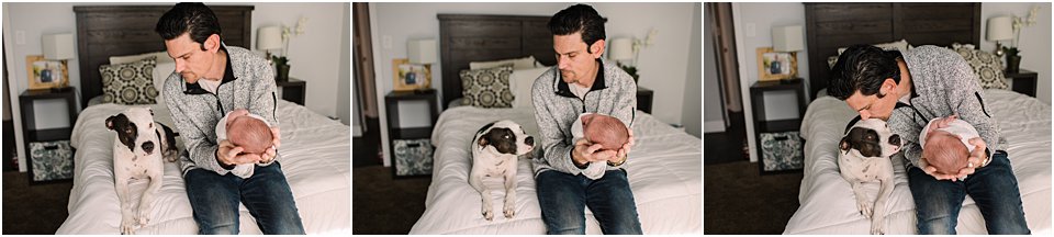 father introducing newborn baby boy to family dog